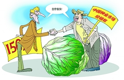新野農(nóng)民買斷荷蘭蔬菜種子經(jīng)銷權(quán) 中國(guó)農(nóng)業(yè)的逆行突圍